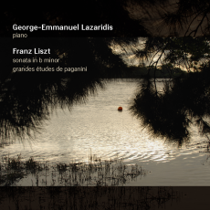 Liszt: Sonata and Etudes